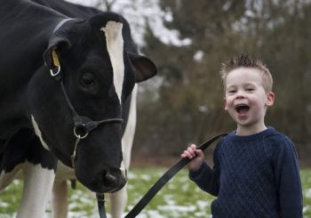 Open Dag Zuivelboerderij De Driehoek in Oosterhout